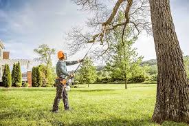 Best Storm Damage Tree Cleanup  in Searles Valley, CA